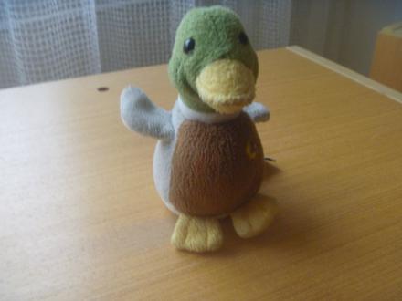 Plyšová barevná kačenka se zvuky, 