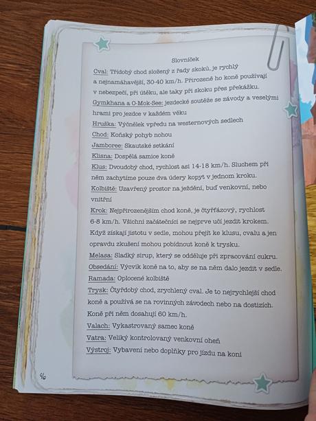 Spirit volnost nade vše - o koních a přátelství, 