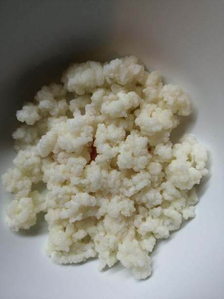 Tibetská houba na mléčný probiotický kefír,