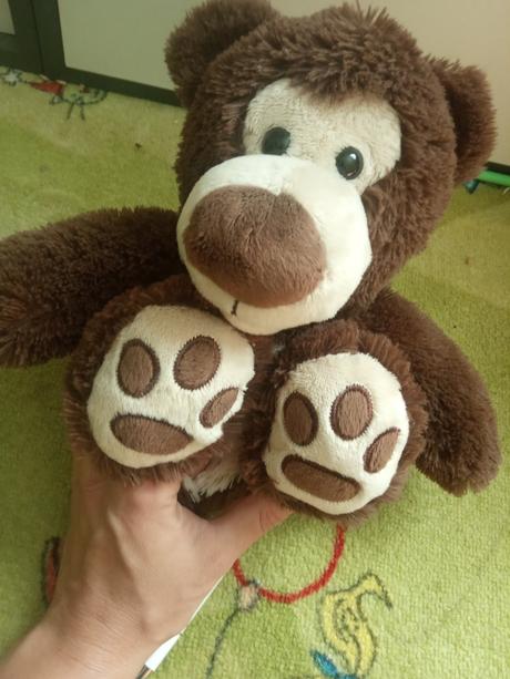 Plyšák medvěd, 