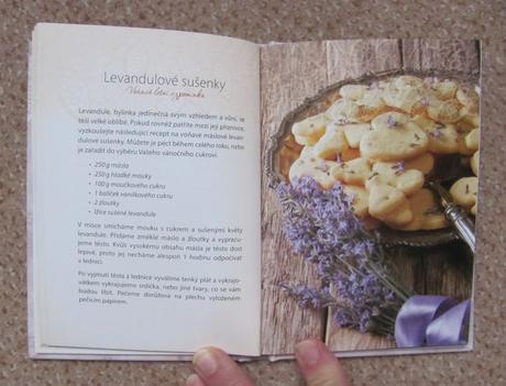 Vánoční nadílka... nápadů s bylinkami a kořením, 