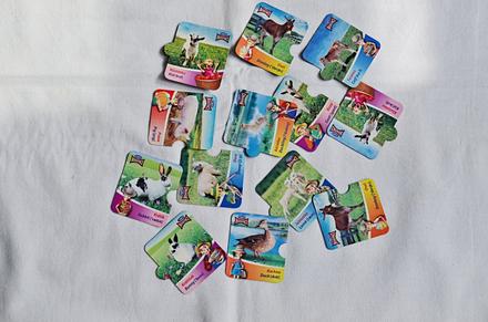 Magnetky zvířátka kostíci,