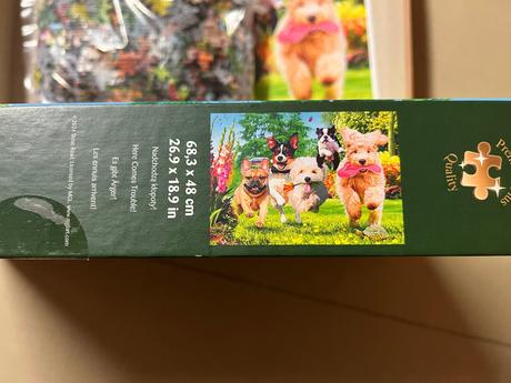 Trefl tea time potíže na obzor - 1000 dílků, 