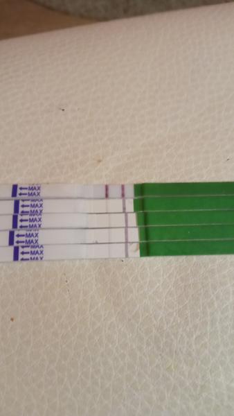 Pozitivní ovulační test. Kdy se snažit?