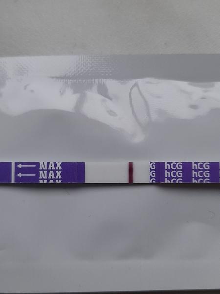 Myslíte, že to vyšlo?