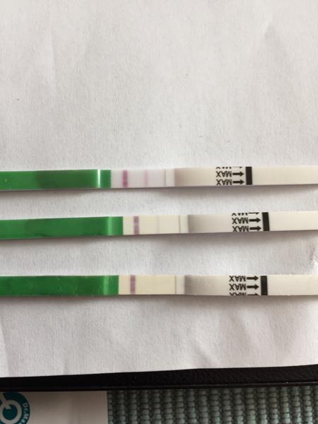 Ovulační testy - hodnocení