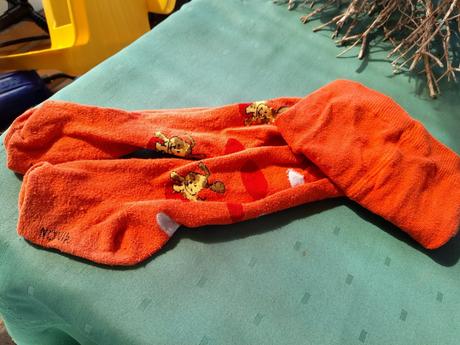 Punčocháče s pejskem,oranžové,vel 80, 80