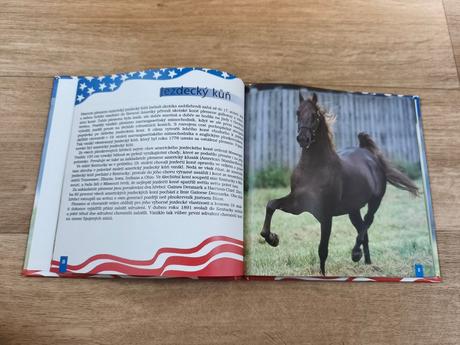 Kniha američtí koně snů,