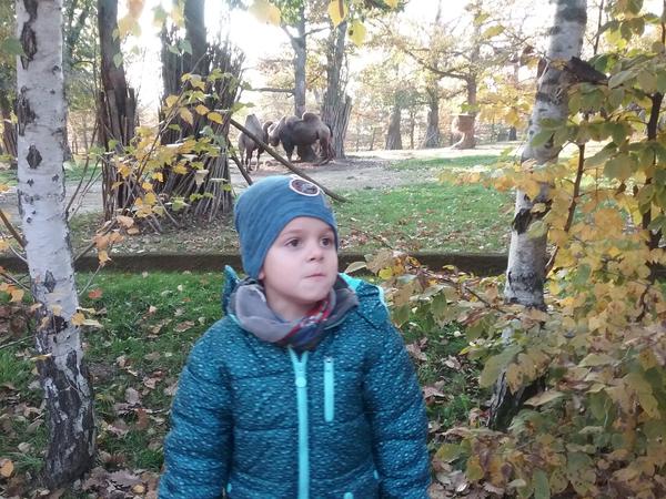 Sbírka na úhradu terapií pro Martínka. Zapojte se a sdílejte!