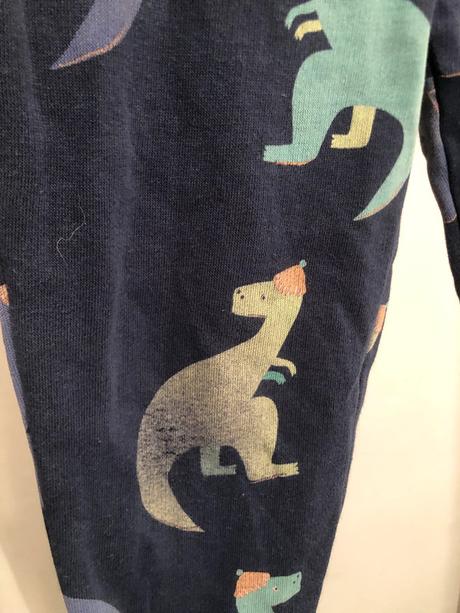 Modré tepláky s dinosaury, 98