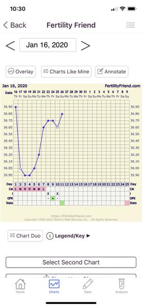 Ovulační testy. Žádny pozitivní, ale přesto byl?
