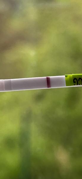 Vidíte něco na testu provedeném brzy?