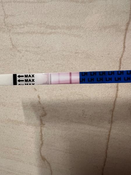 Bude těhotenský test posílen nebo zůstane negativní?