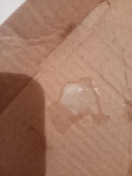 Je toto hlenová zátka?