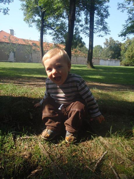 Hnědý set oblečení, manžestrové kalhoty, 3x triko, next,80