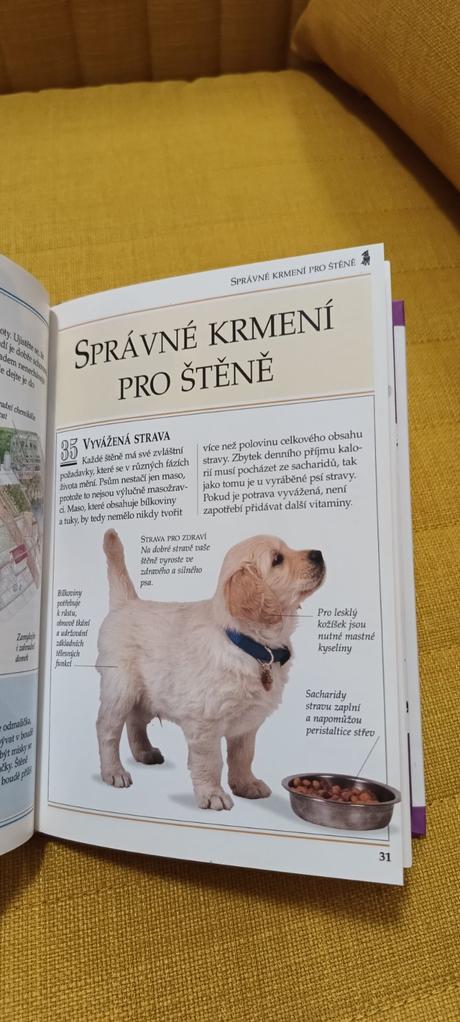 Jak pečovat o štěně, 