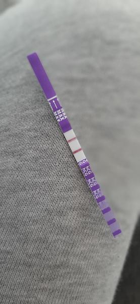 Rychlé otěhotnění po potratu: Vaše zkušenosti sdílejte v diskusi