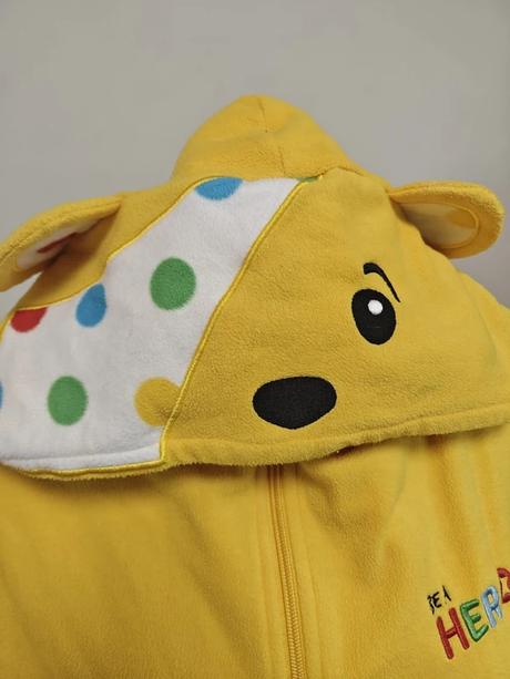 Pudsey bear,