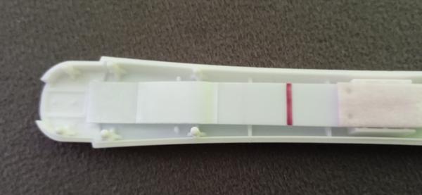 Těhotenské testy: Dá se věřit slabé čárce?