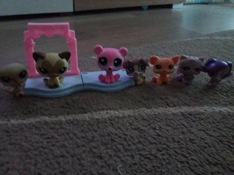 Pet schop zviřátka,