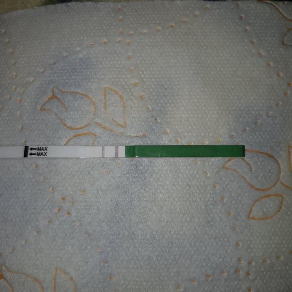 Jak vypadá ovu test??