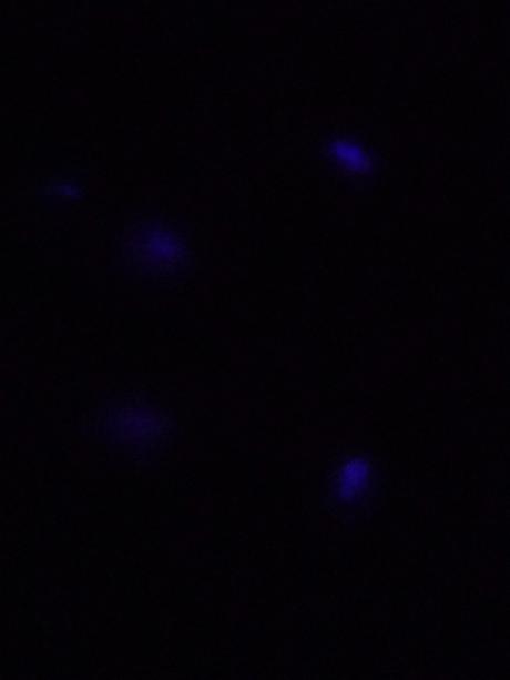 Dětský svítící polštář,