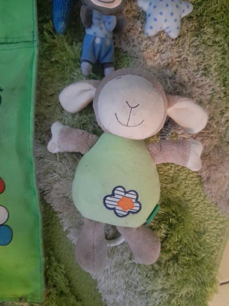 Kapsář večerníček,hrací hračky a polštářek, 