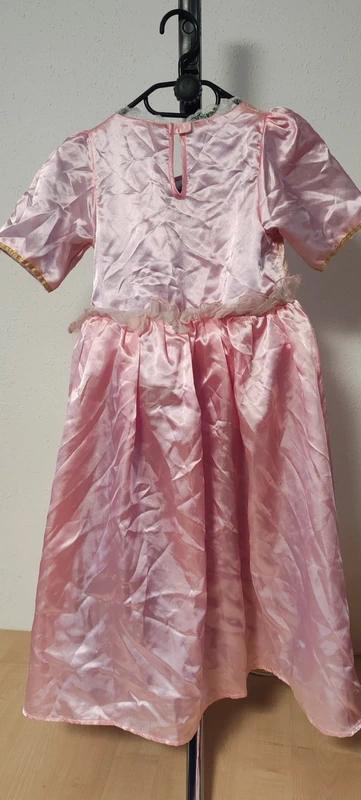 Šípková růženka, 