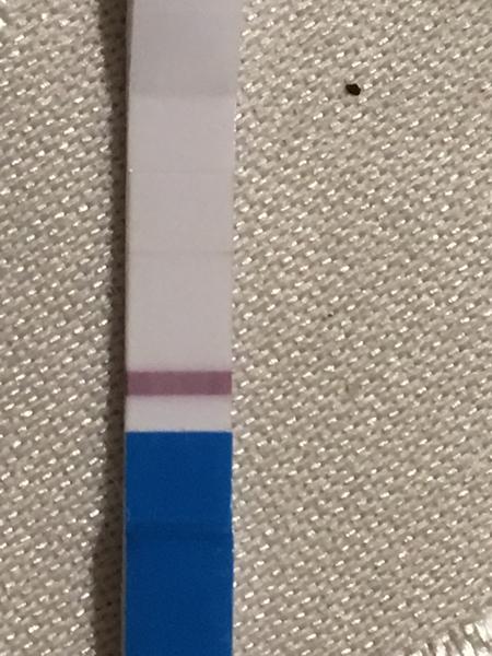 Je to ryska nebo pozitivni test?