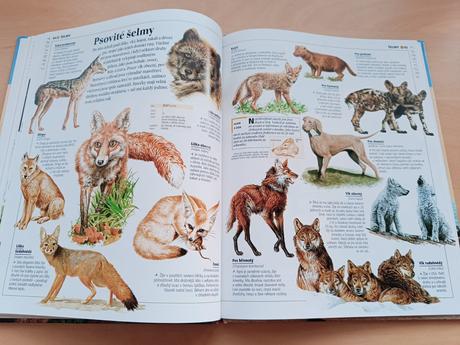 Dětská obrazová encyklopedie - zvířata, 