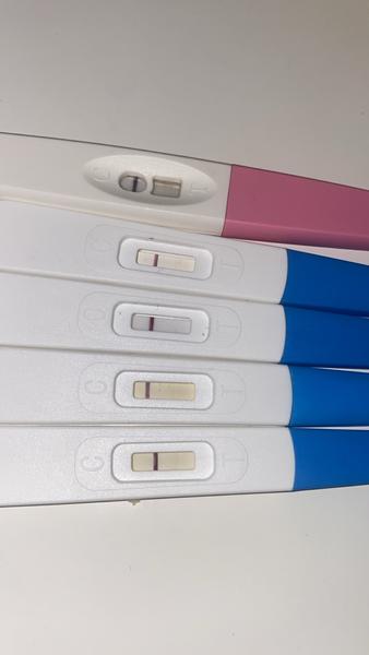 Zkušenosti s těhotenskými příznaky po potratu. Co si o tom myslíte?