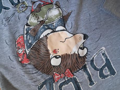 Tričko s jezeckem a flitry, 104