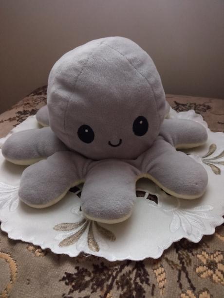 Chobotnice plyšová, 