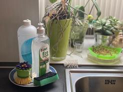 Prostředek na mytí nádobí Go for Expert Eco Friendly Tesco