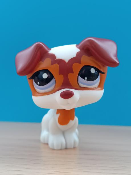 Lps pejsek jack russell teriér,