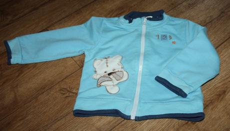 Mikina s medvědem, frog,74