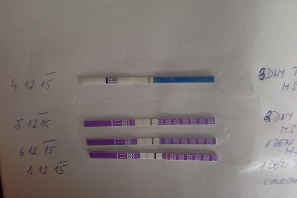 Ahoj holky, můžu se přidat ?