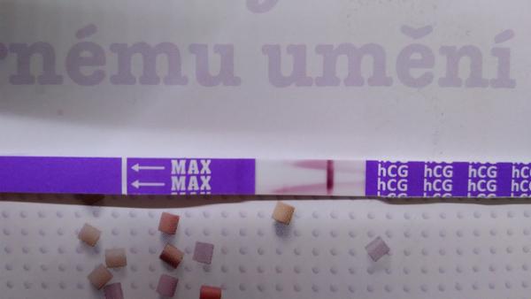 Jsem těhotná, nebo je to chyba testu?