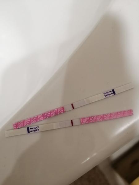 Těhu test. Bere se krev na hCG na lačno, nebo se můžu najíst?