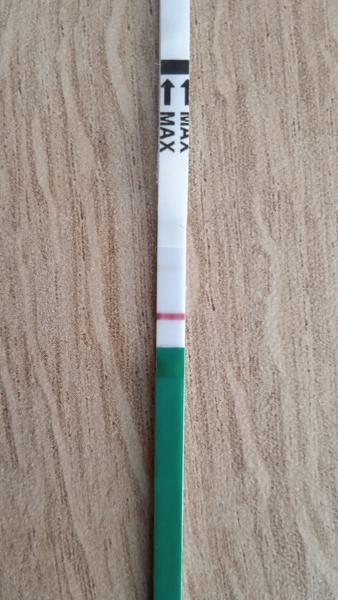 Vidíte druhou čárku? Nebo blouzním kvůli touze po miminku?