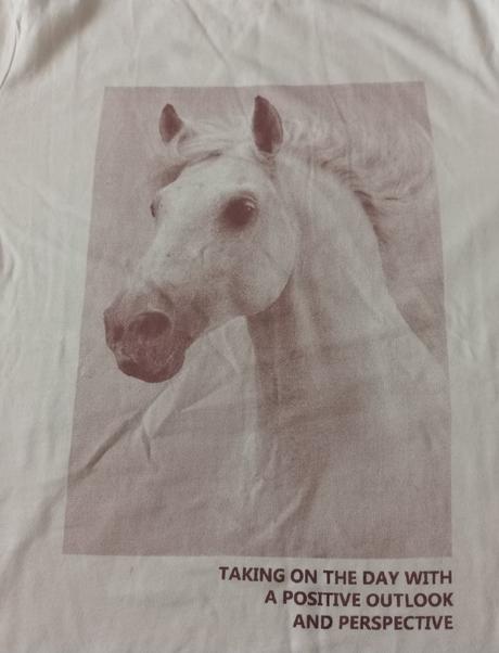 Dívčí triko dlouhý rukáv bílé kůň h&m, h&m,170