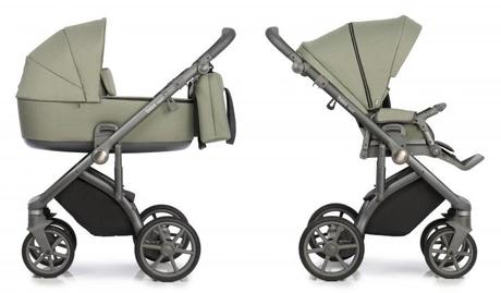 Roan bass next misty mood, roan,roan bass next