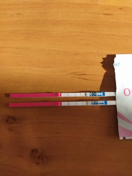 Ovu test. Je už pozitivní?