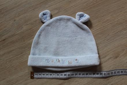 Čepička, disney,62