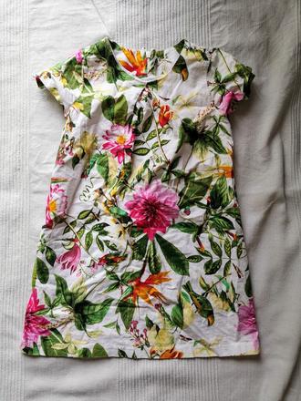 Letní šaty, next,116