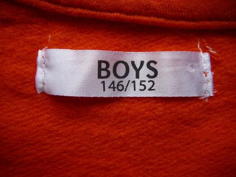Chlapecká mikina boys, boys,152