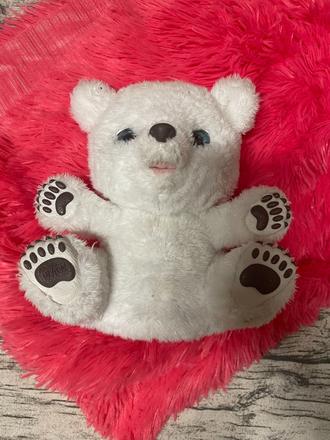 Plyšák lední medvěd,