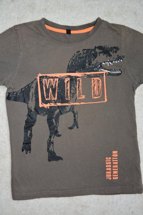 Tričko dinosaurus, 140