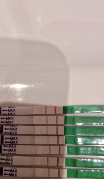 Kdy je ovulační test pozitivní? Zjistěte pravdu!