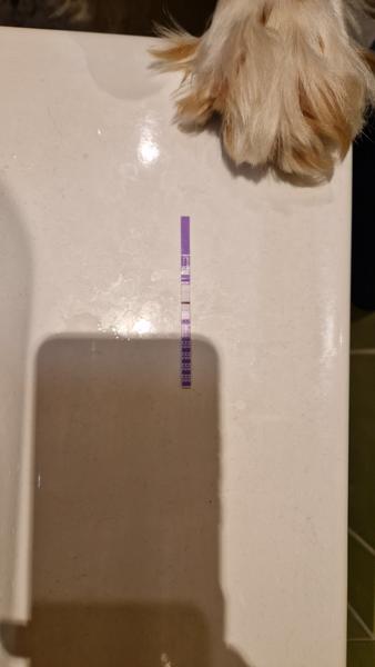 Test. Je výsledek testu pozitivní?